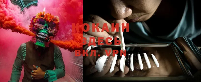 закладки  Москва  Cocaine FishScale 